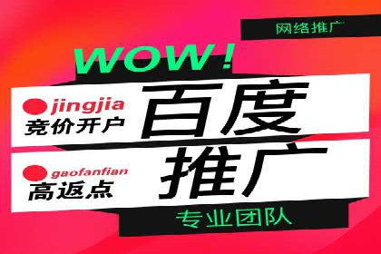 谷歌竞价案例：跨境电商广告投放策略